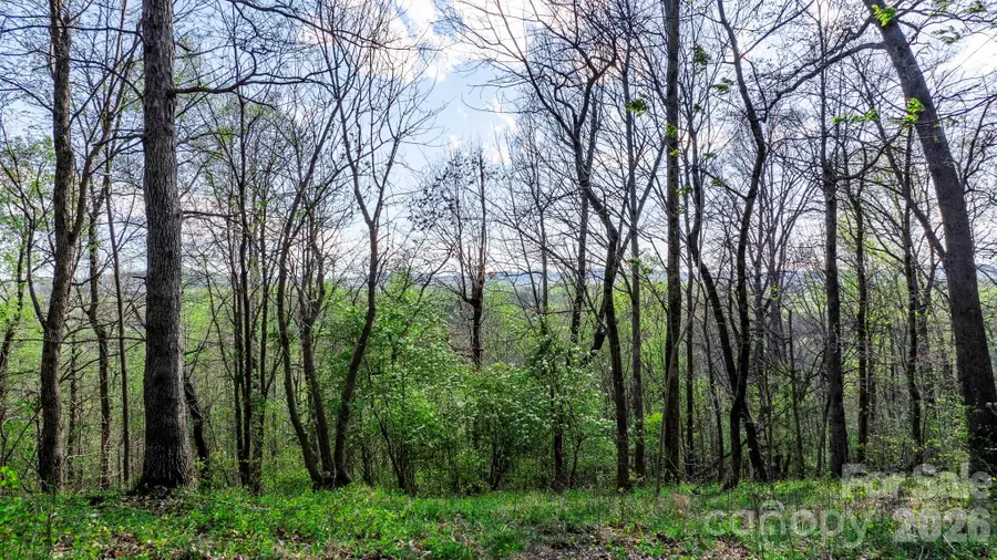 00 Somers Road, Somers, NC 28689 - #3