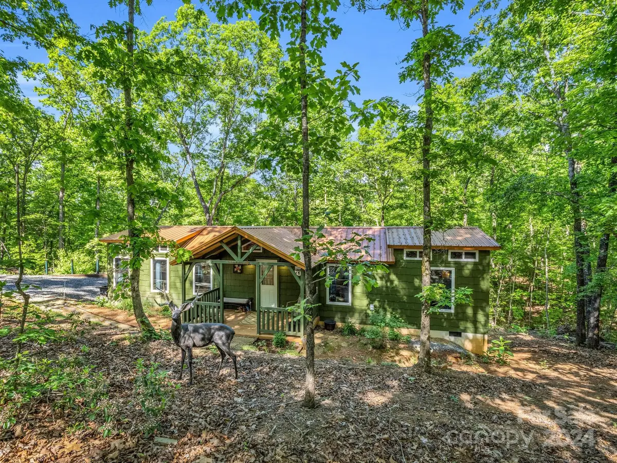 81 Delind Drive, Mill Spring, NC 28756 - Image #1