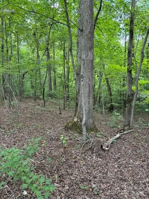 #1