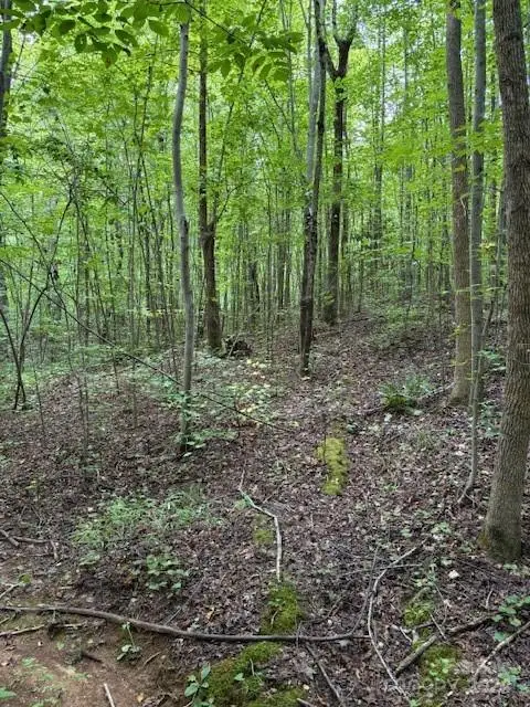 #3