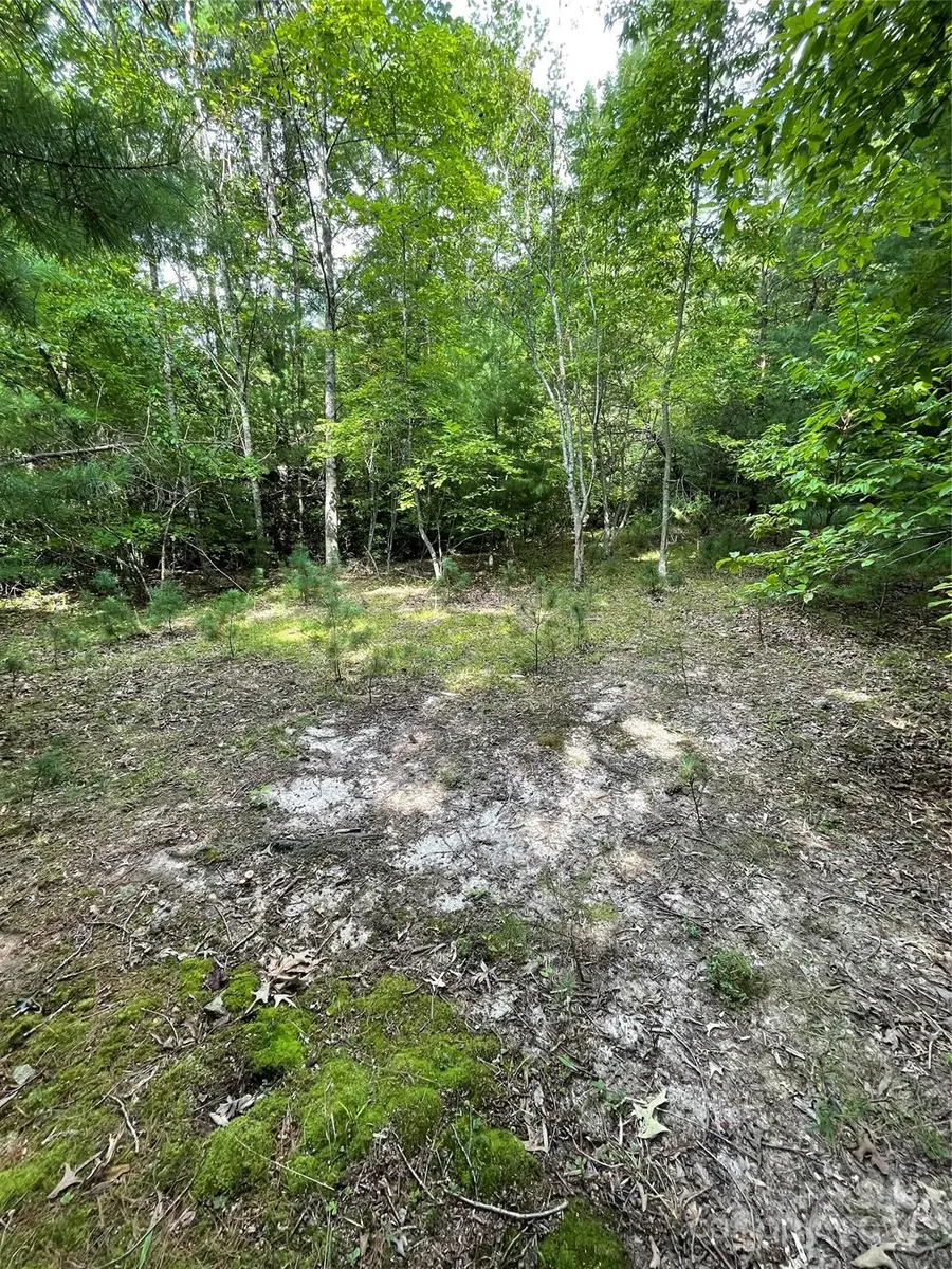 #25 Oleta Mill Trail, Blue Ridge, NC 28792 - Image #2