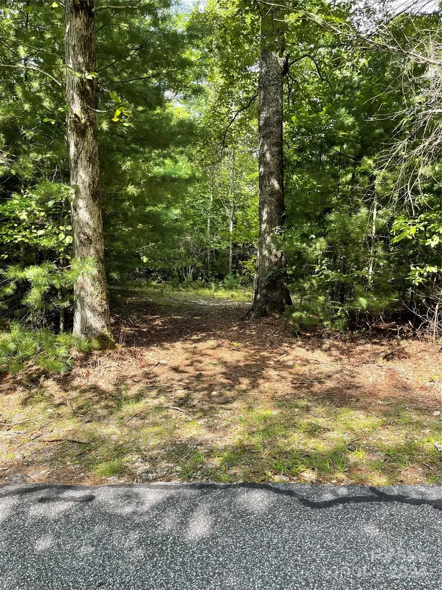 #25 Oleta Mill Trail, Blue Ridge, NC 28792 - Image #3