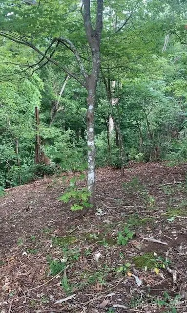 #3