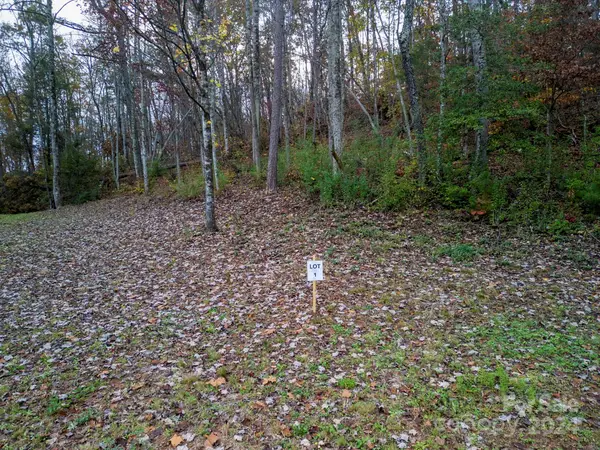 Address Withheld By Seller, Old Fort, NC 28762
