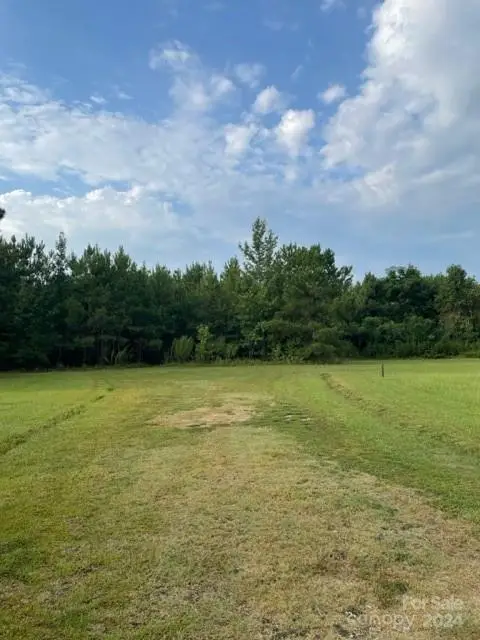 0 Healing Springs Road, Timmonsville, SC 29161