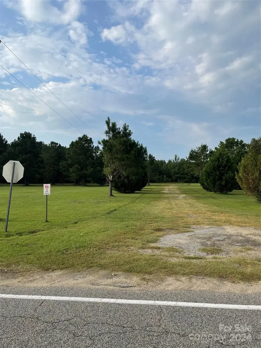 0 Healing Springs Road, Timmonsville, SC 29161 - Image #2