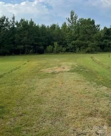 0 Healing Springs Road, Timmonsville, SC 29161 - Image #3