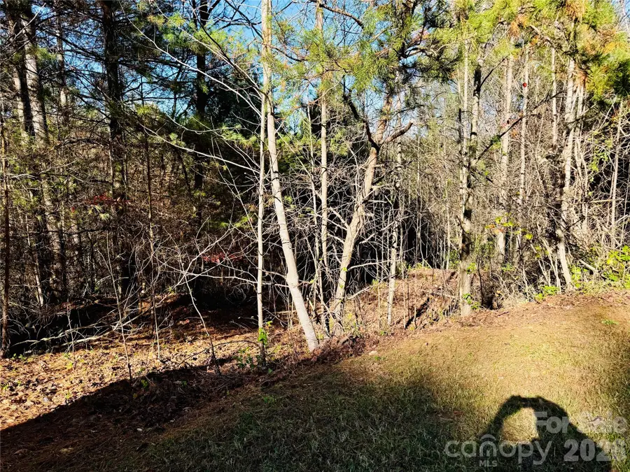 6.09 acres, Lot 136/137 Johns Ridge Parkway #136/137, Lenoir, NC 28645 - #3
