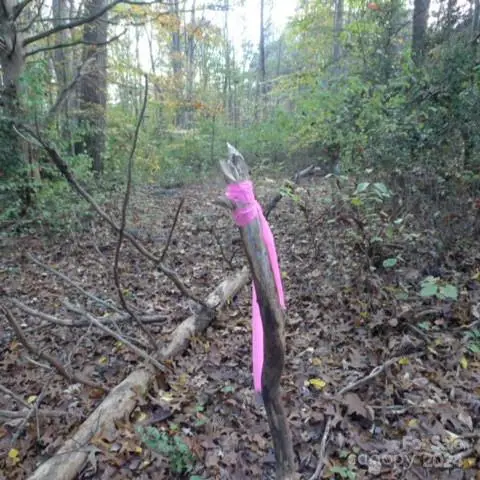 187 Caravan Lane, Mocksville, NC 27028 - #3