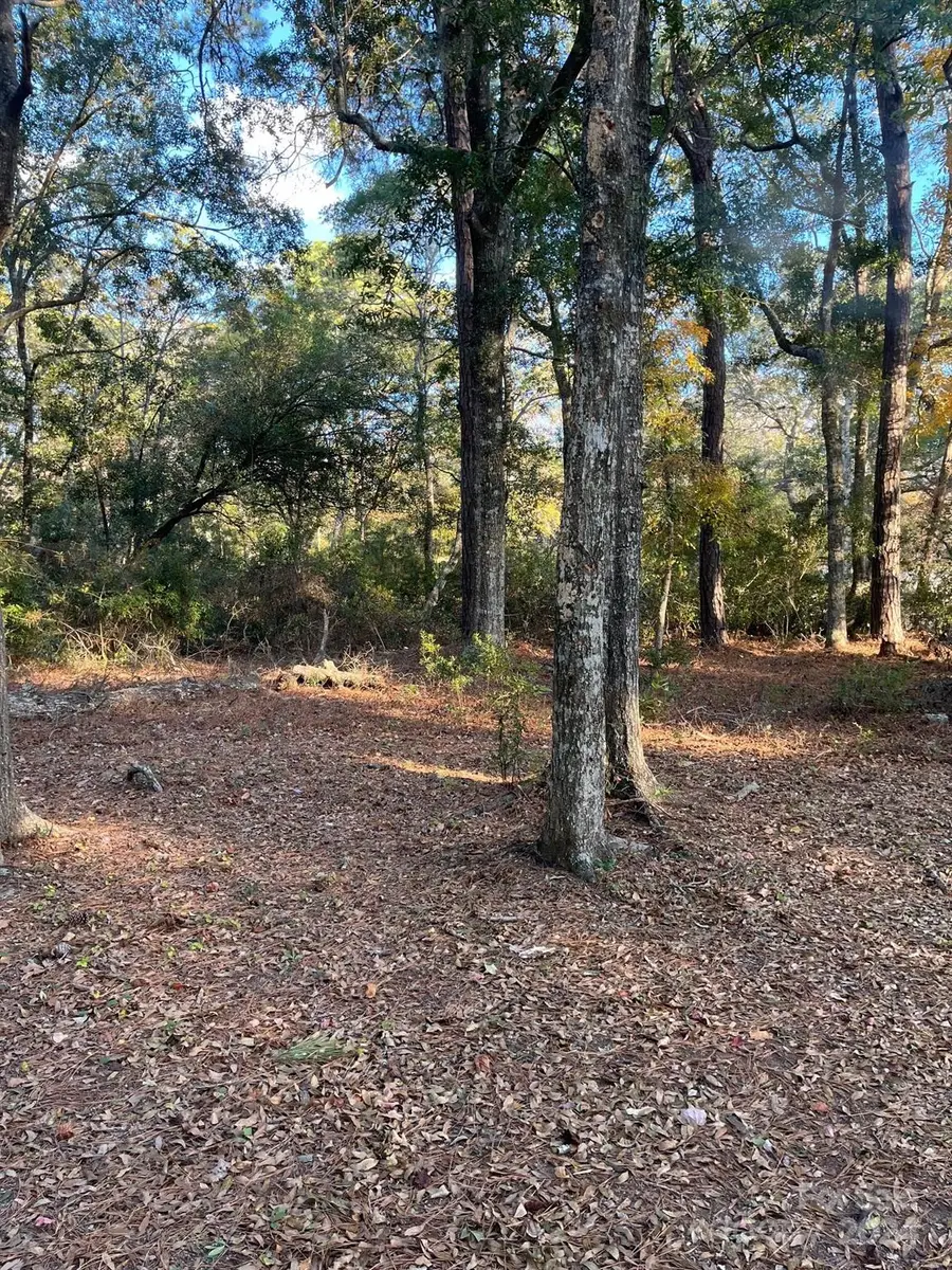 9170 Heritage Drive Sw #86, Calabash, NC 28467 - Image #2