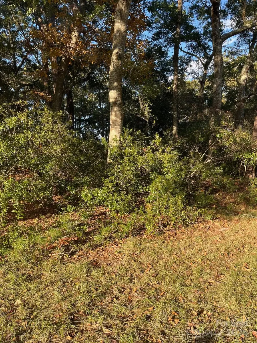 9170 Heritage Drive Sw #86, Calabash, NC 28467 - Image #3