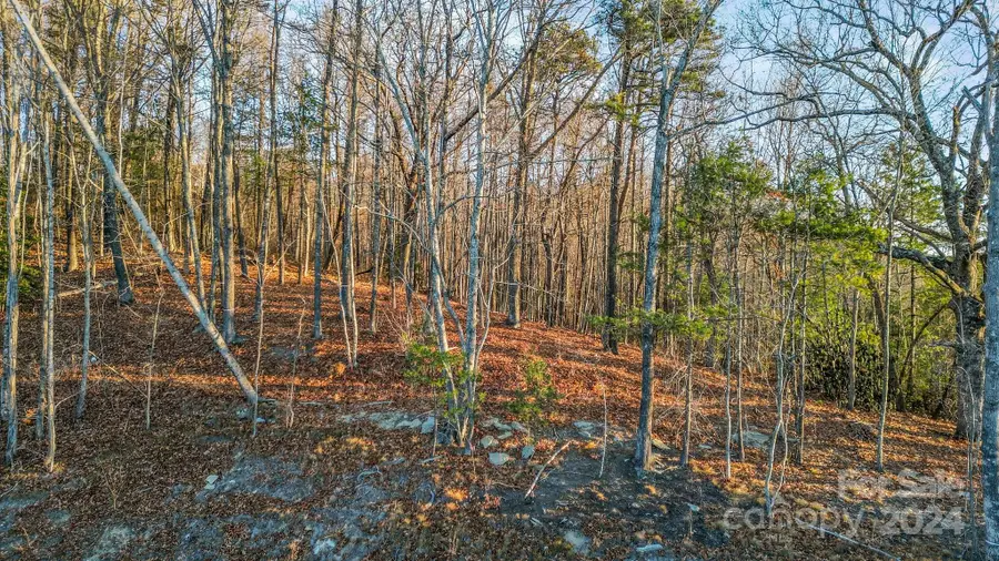 99 Spring Song Lane #9, Fletcher, NC 28732 - #3