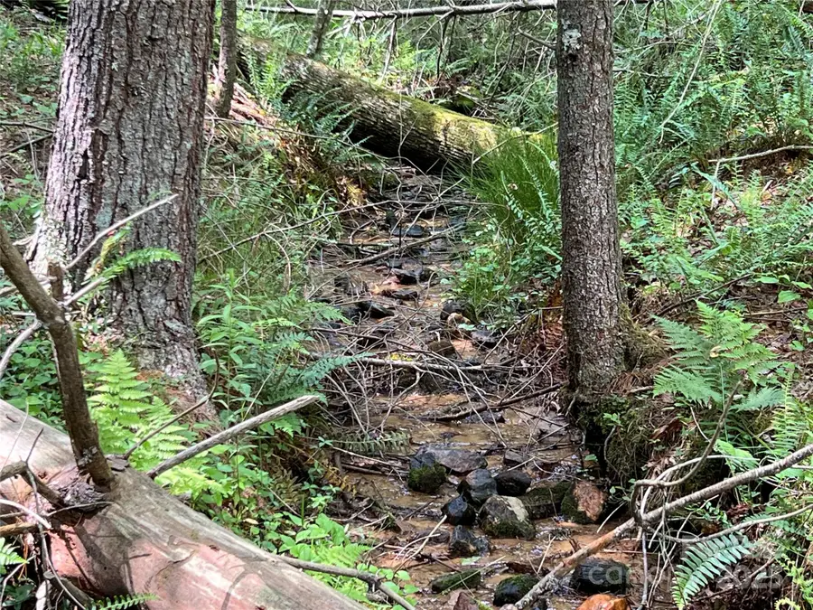 TBD Maines Hill Lane, Prathers Creek, NC 28663 - Image #2