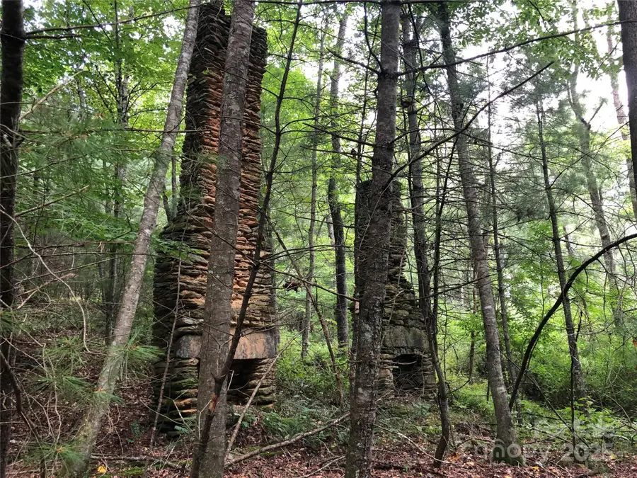 TBD Maines Hill Lane, Prathers Creek, NC 28663 - Image #3