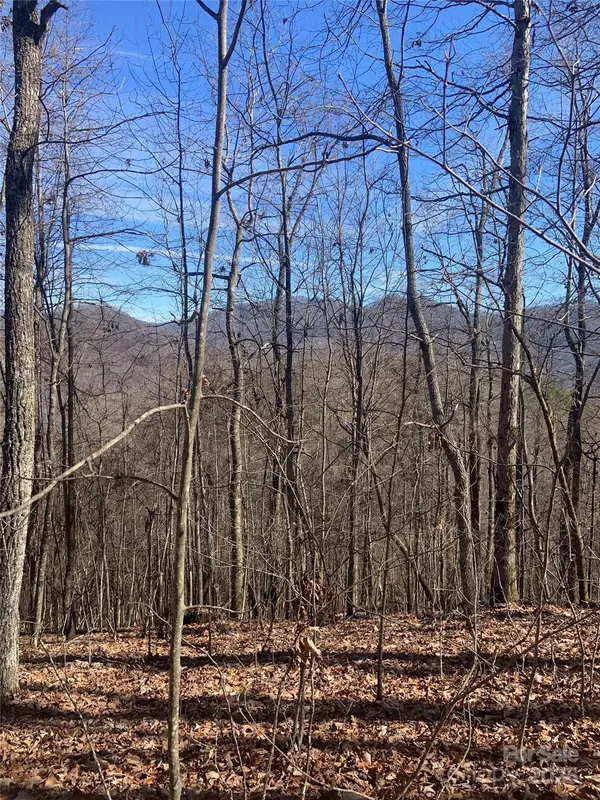TBD Ashe Branch View #66J, Hayesville, NC 28904