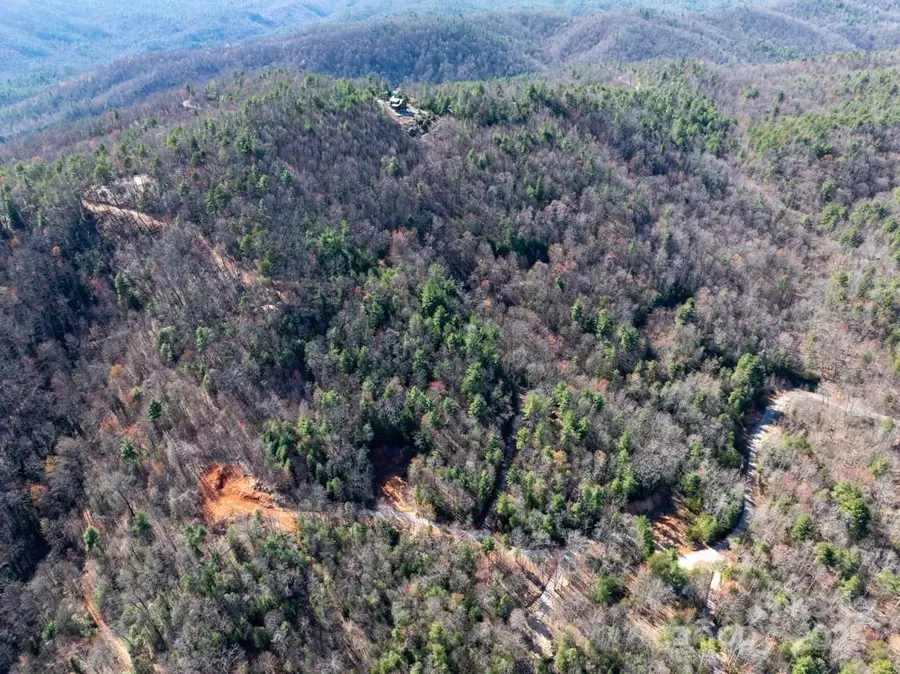 00 Staghorn Road, Purlear, NC 28665 - Image #3