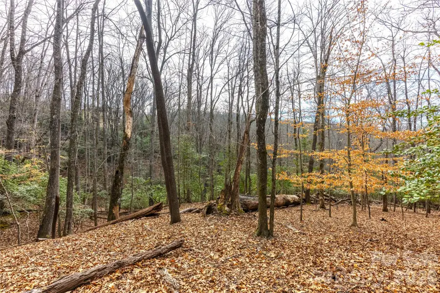 0 Aberdeen Lane, Pisgah Forest, NC 28768 - #3
