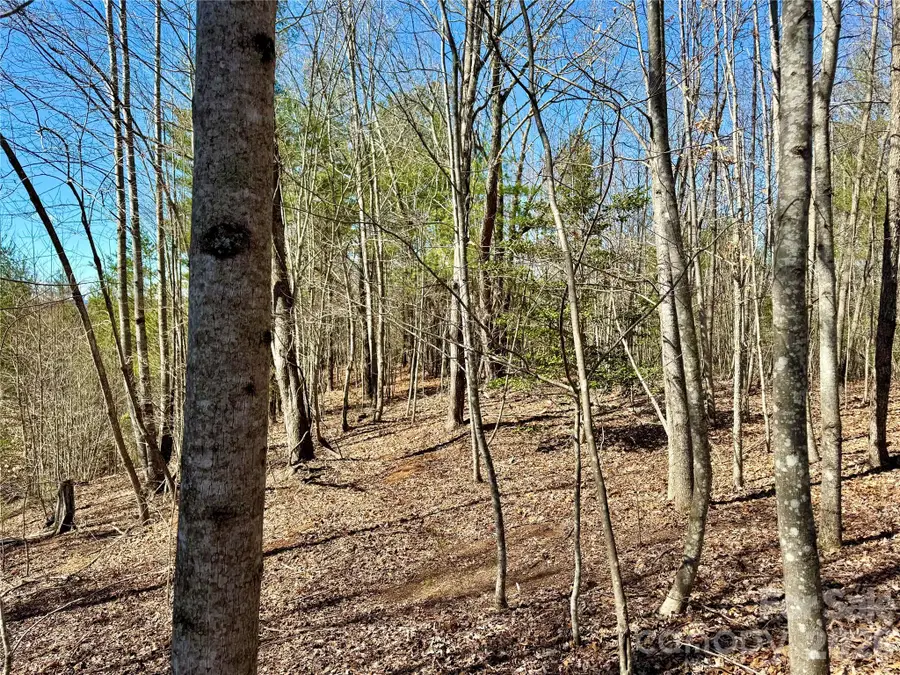 54.2 acres, Lot 837 High Valley Way #837, Lenoir, NC 28645 - Image #2