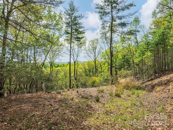 Lot #56 Winterberry Drive, Hendersonville, NC 28739