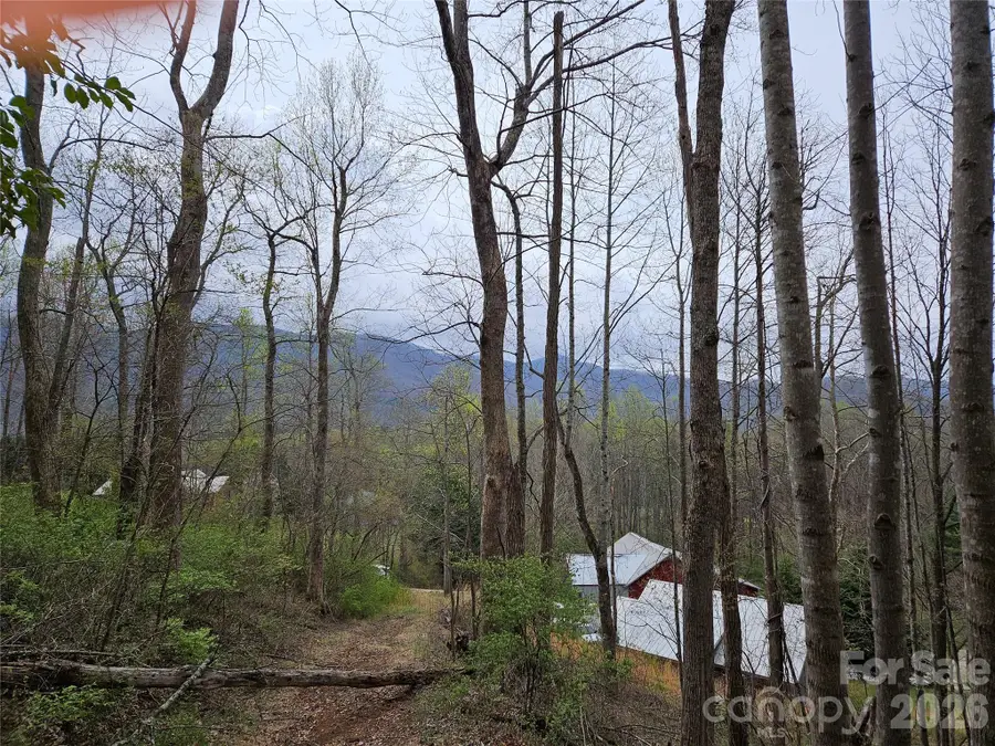 99999 Patton Hill Road #3, Swannanoa, NC 28778 - #3