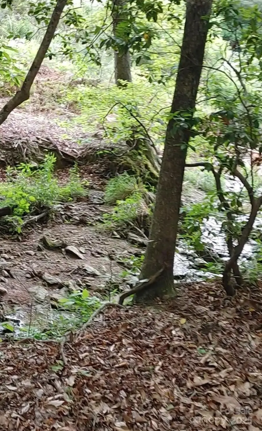 #2