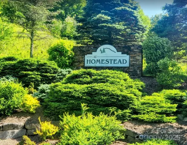 TBD Lucky Leaf Lane, Vilas, NC 28692