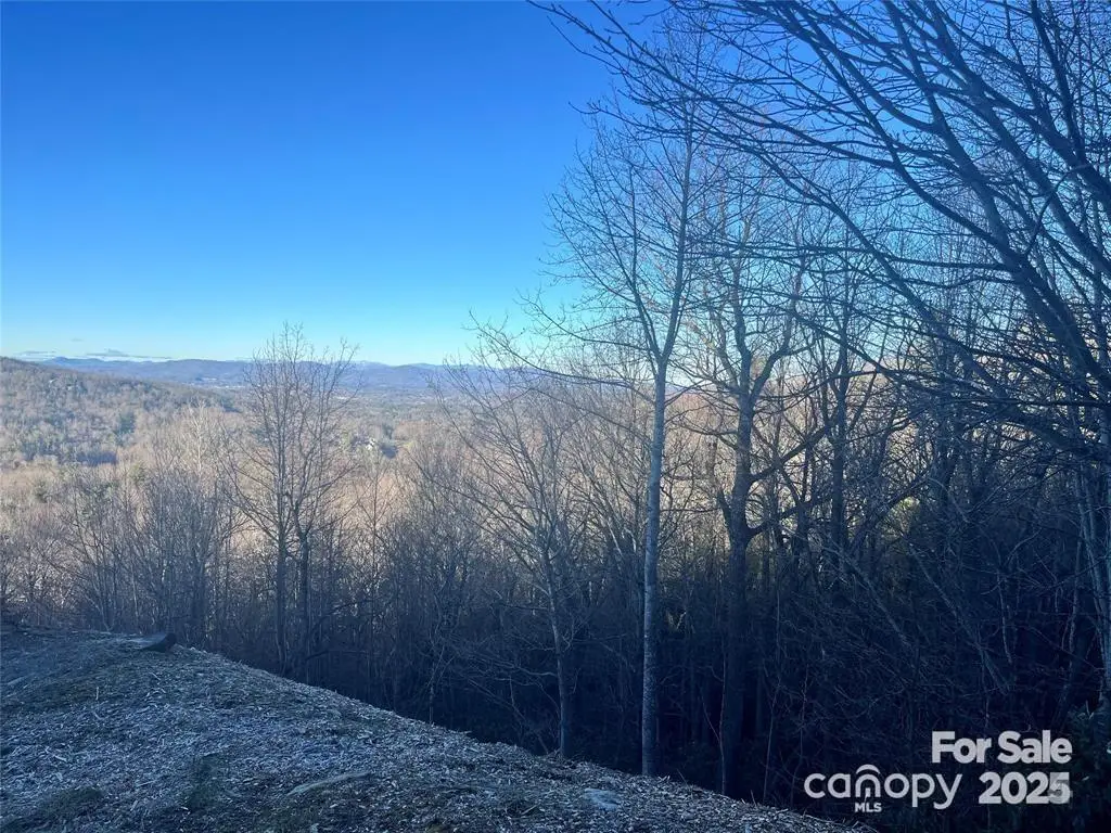 000 Roxworth Court, Flat Rock, NC 28731 - #1