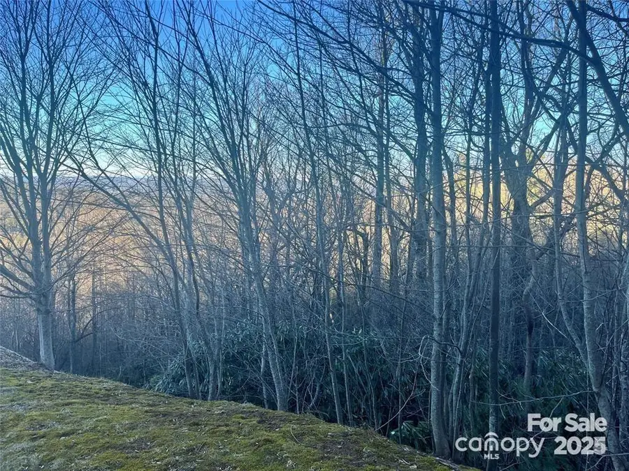 000 Roxworth Court, Flat Rock, NC 28731 - #2