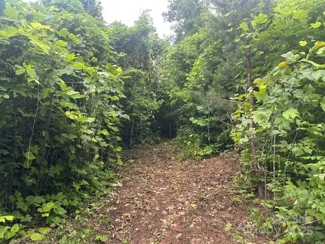 #3
