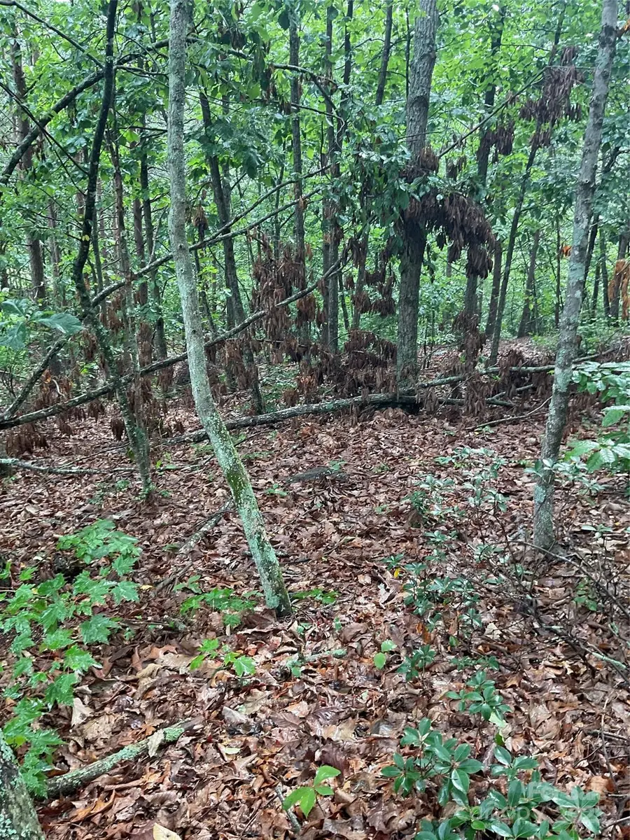 #3
