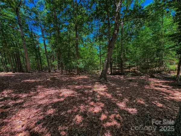 1560 Rocky Cove Lane, Denton, NC 27239