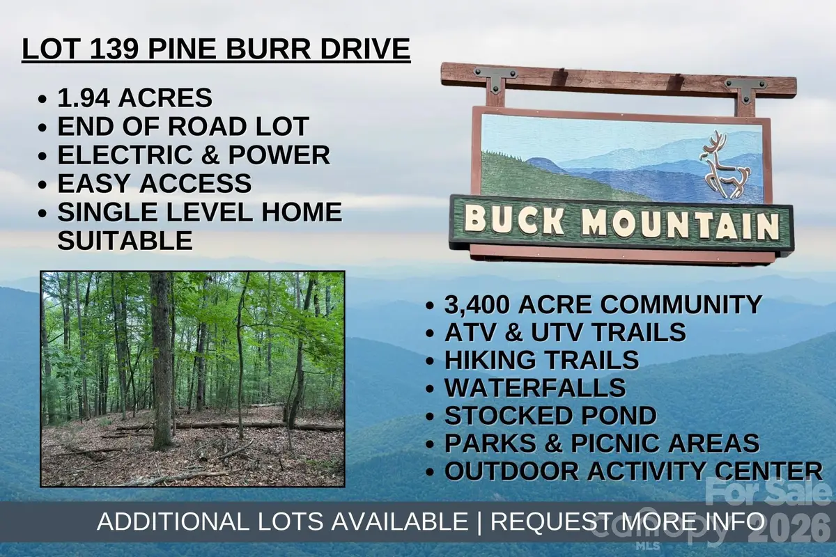 TBD Pine Burr Drive #139, Purlear, NC 28665 - #1