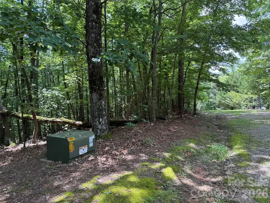 TBD Pine Burr Drive #139, Purlear, NC 28665 - #3