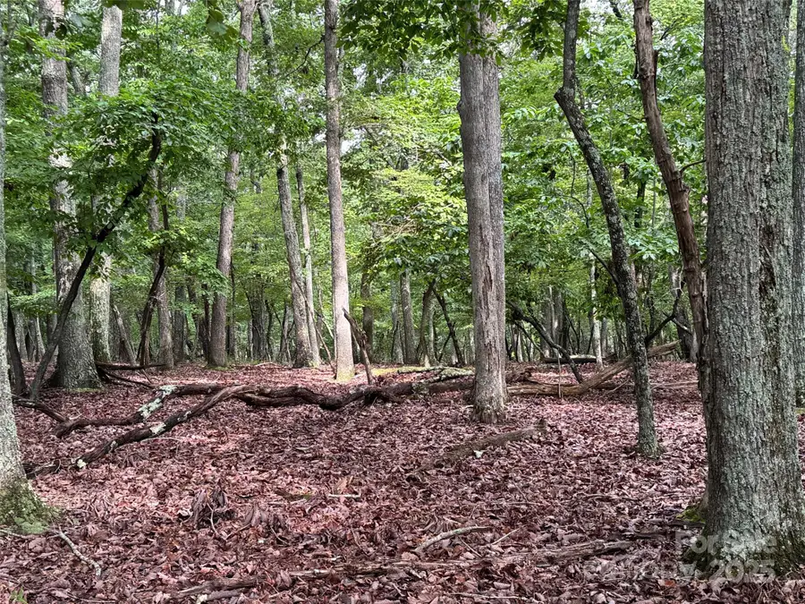 1695 Sierra Trace Road, Denton, NC 27239 - #2