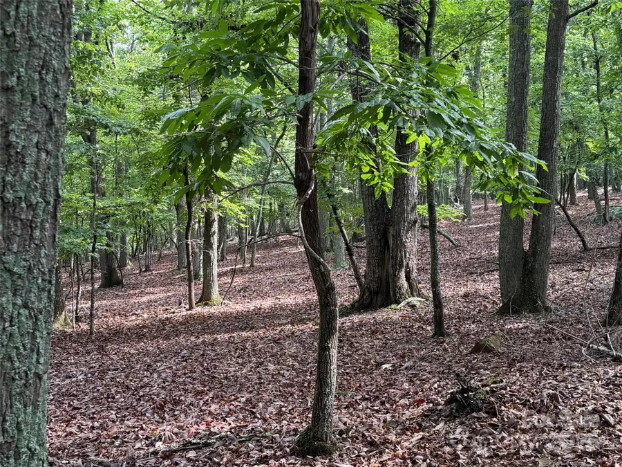 1695 Sierra Trace Road, Denton, NC 27239 - #3