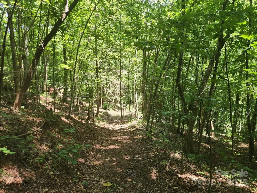 2003 Zacks Fork Road, Lenoir, NC 28645 - #2