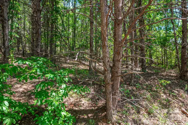 Lot 12 Meadow Crossing Drive, Rutherfordton, NC 28139