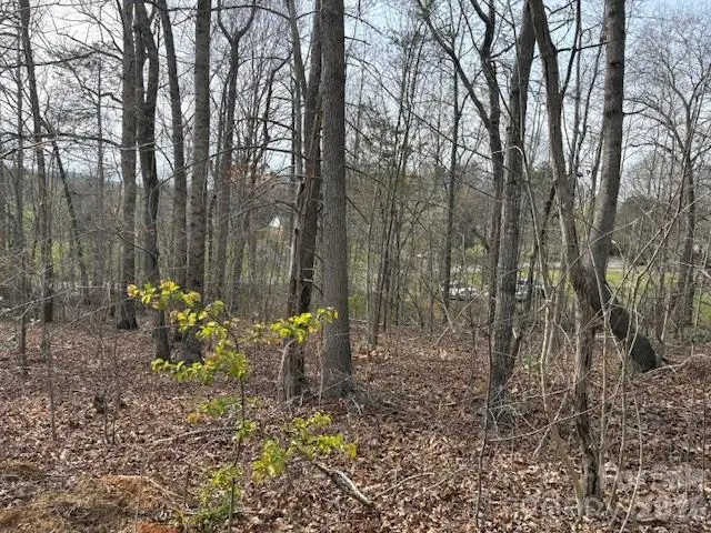 3845 Laurel Heights Drive, Morganton, NC 28655 - #3