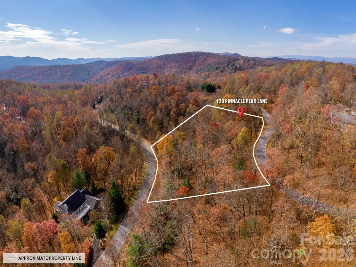 128 Pinnacle Peak Lane, Flat Rock, NC 28731 - #1