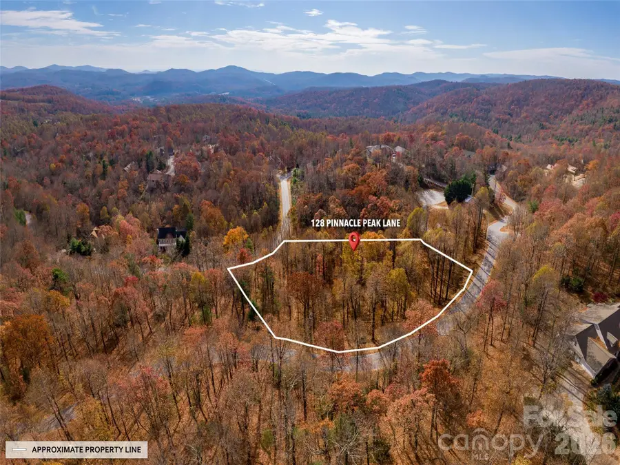 128 Pinnacle Peak Lane, Flat Rock, NC 28731 - #3