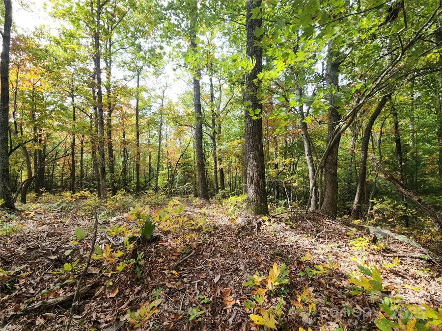 99999 N Pointe Drive #2, Zirconia, NC 28790 - Image #3