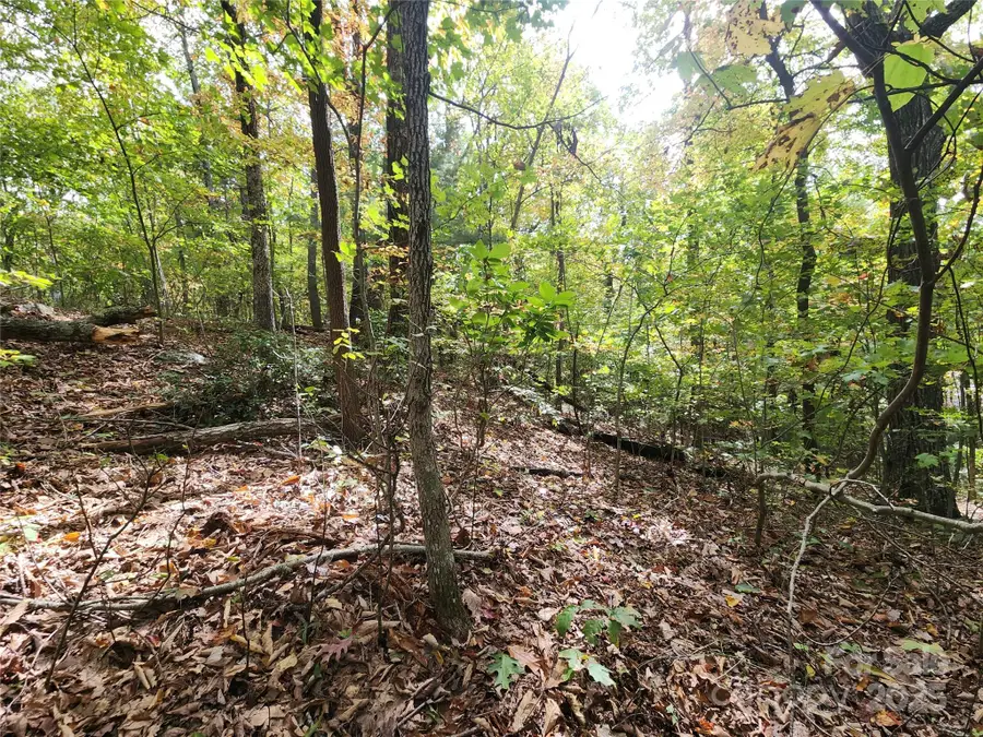 99999 N Pointe Drive #3, Zirconia, NC 28790 - Image #2