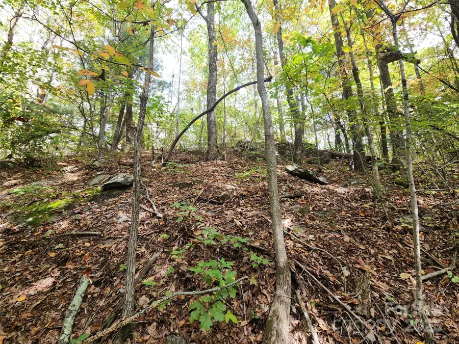 99999 N Pointe Drive #3, Zirconia, NC 28790 - Image #3