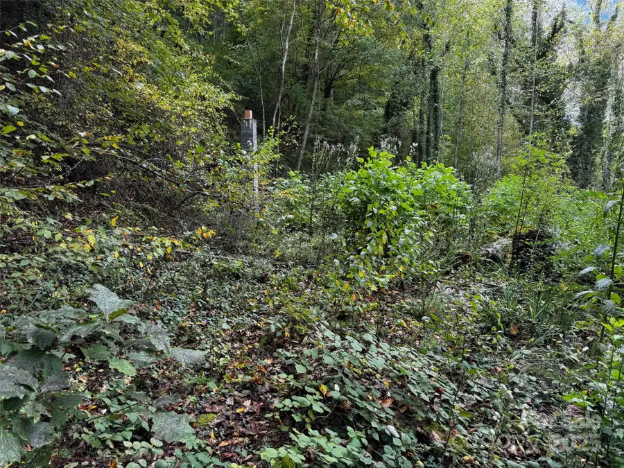 1261 Asheville Highway, Canton, NC 28716 - Image #3