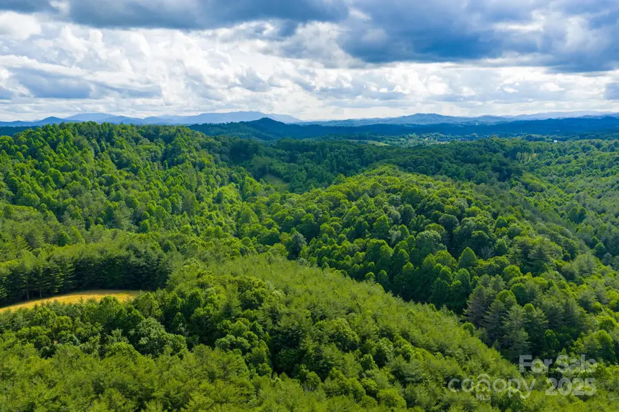 TBD Phipps Dairy Road, Piney Creek, NC 28663 - Image #2