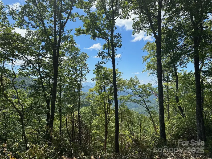 00 Falls View Drive #70, Bryson City, NC 28713 - Image #3