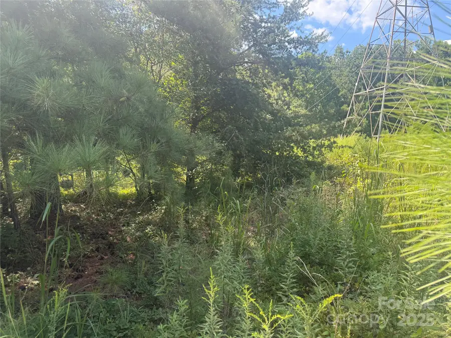 #21 Windy Pine Circle #21, Denver, NC 28037 - Image #2