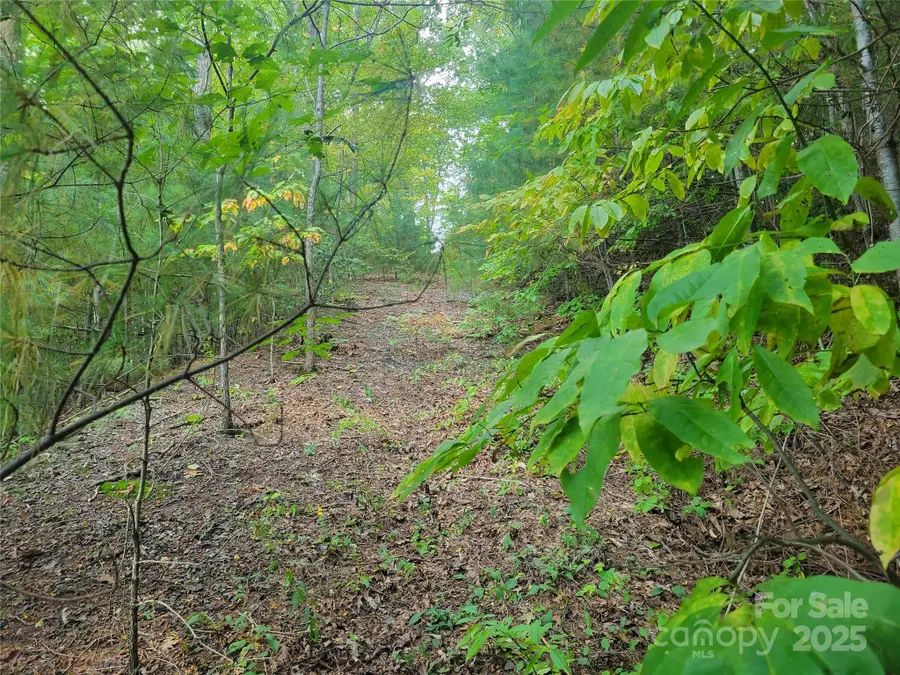 0 Pinewood Drive #5, Waynesville, NC 28786 - Image #2