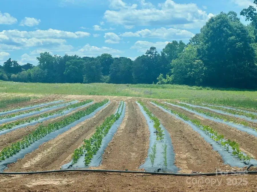 36299 Finger Road, Mount Pleasant, NC 28124 - Image #2