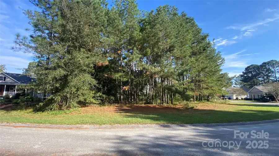 126 Meadow Trace Court, Aiken, SC 29805 - Image #2